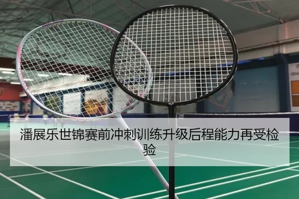 潘展乐世锦赛前冲刺训练升级后程能力再受检验